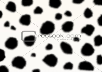 Texture - a fluffy, spotty skin dalmatin