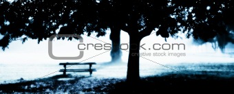 Misty Morning with park bench