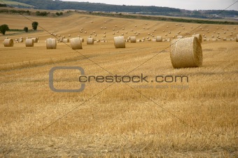 Rolls of hay 