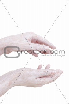 cream on the hands, isolated