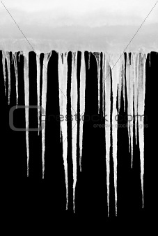 icicles isolated on black