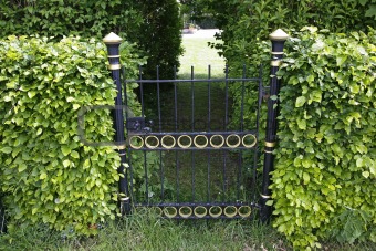 Beautiful garden gate