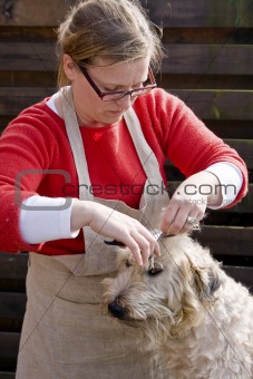 Cutting fur