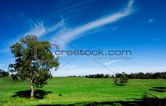 Australian Farmland