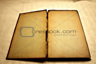 Blank and antique open book