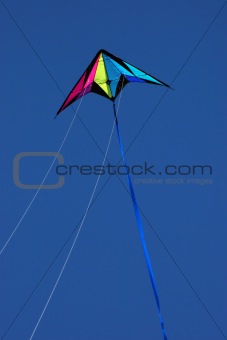 Kite flying high