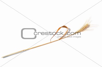 wheat stalk