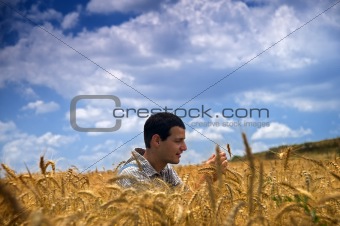 farmer in a wheat field
