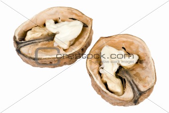 walnut closeup with path on white background