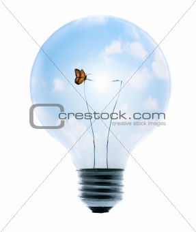 Clean Energy with Butterfly