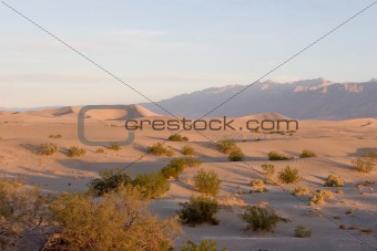 Stovepipe Dunes