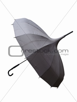 wet umbrella