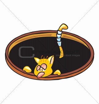 Cat in a man hole