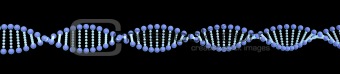 DNA-2