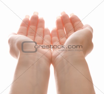 Female hands holding something