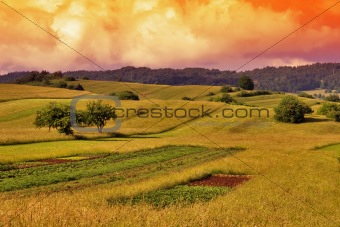 Grass Field Sunset Landscape 