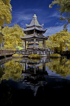 reflection of pagoda and tree in the theme parks