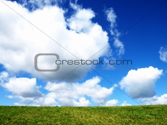green grass and cloudy sky