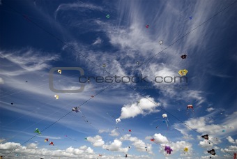 Kites All Over