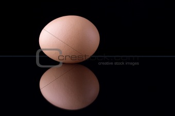Egg on black background