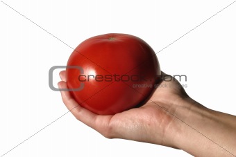 holding tomato