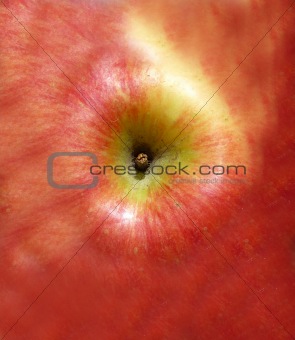 Apple Skin Texture