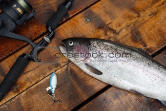 Freshly caught salmon lying on the footbridge with fishing rod