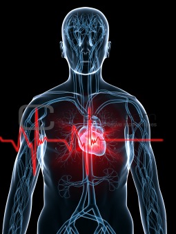heartbeat/heartattack