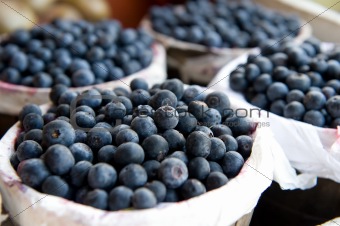 Bushels full of fresh blueberries
