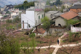 Chinese Peasant Village, Peach Orchard, Crossroads, Sichuan, Chi