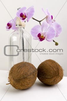 Orchids and coco nut 