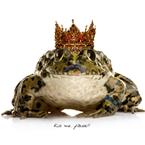 the king of frogs