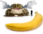 banana frog mission