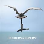 FINDERS KEEPERS!