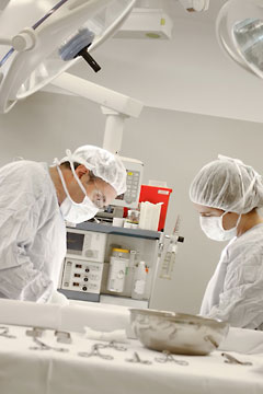 Two doctors at the operating room