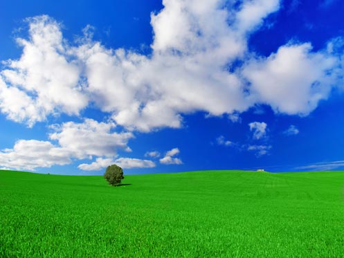 country graphic desktop wallpaper. Green Country Field