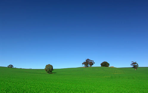 Image: Country Field